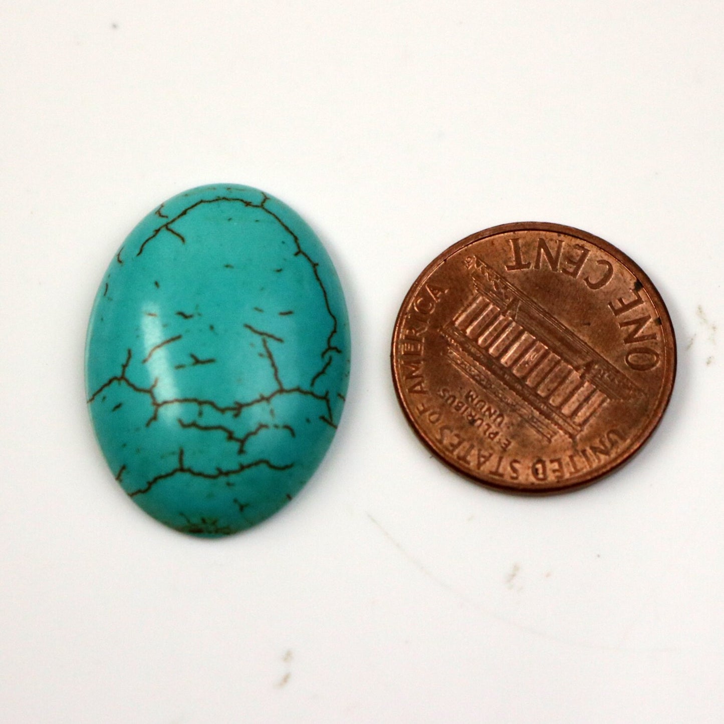 10 pcs 18x25mm Howlite Turquoise Oval Cabochon Pendant - 18x25mm 6mm thickness