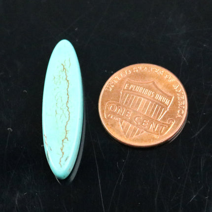 20 pcs Leaf Beads Howlite Turquoise Pendant Beads - 30x9mm 5mm thickness