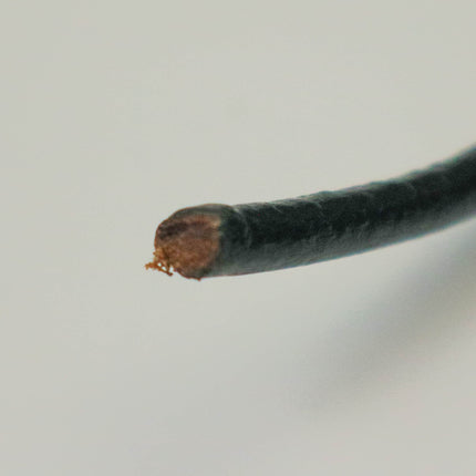 10 feet Black Leather Cord - 5mm Genuine Leather Round Cord (01)