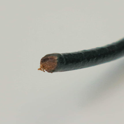 1 Yard (3 feet) Black Leather Cord - 5mm Genuine Leather Round Cord (01)